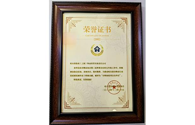 2023市物协优秀会员单位